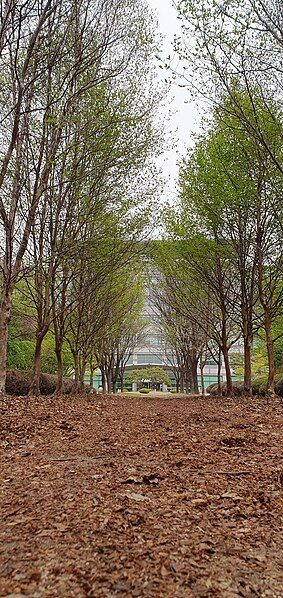 File:SKKU Gardens Avenue.jpg