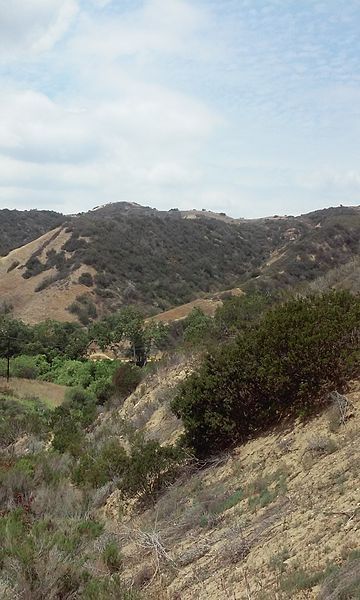 File:Turnbull Canyon 2.jpg