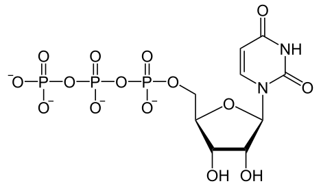 File:Uridintriphosphat2.svg