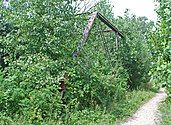 Historic Bell Road Bridge