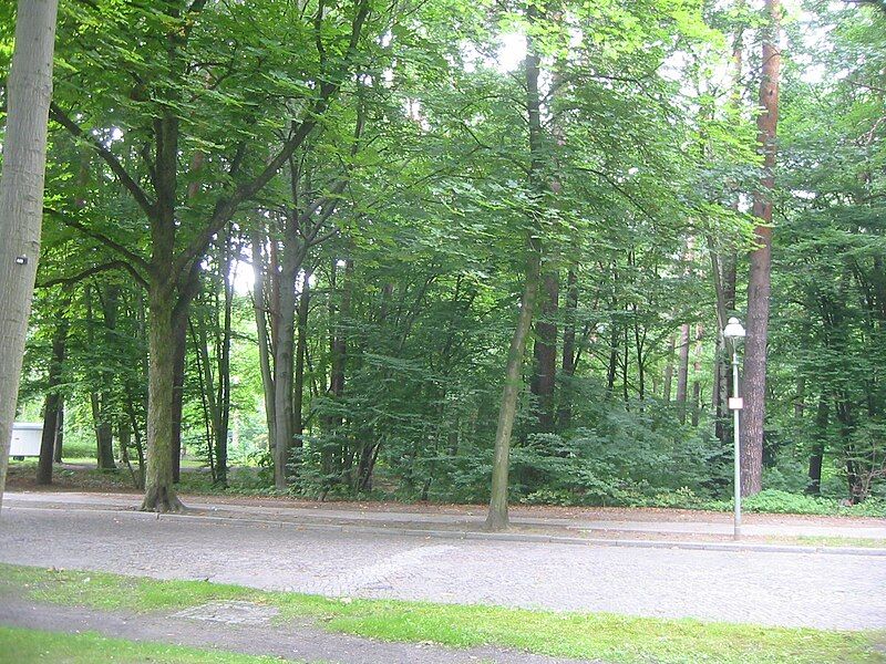 File:Berlin-Frohnau Ludwig-Lesser-Park.JPG