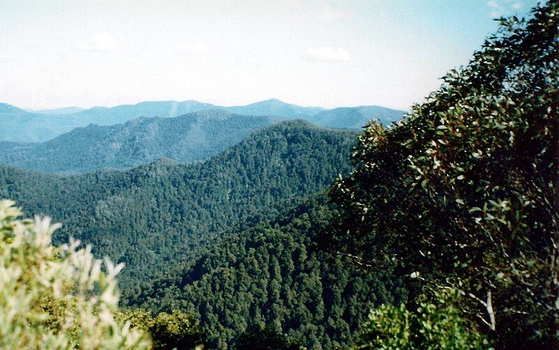 File:Careys Peak View.jpg