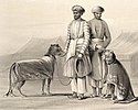 Nawabs and cheetahs