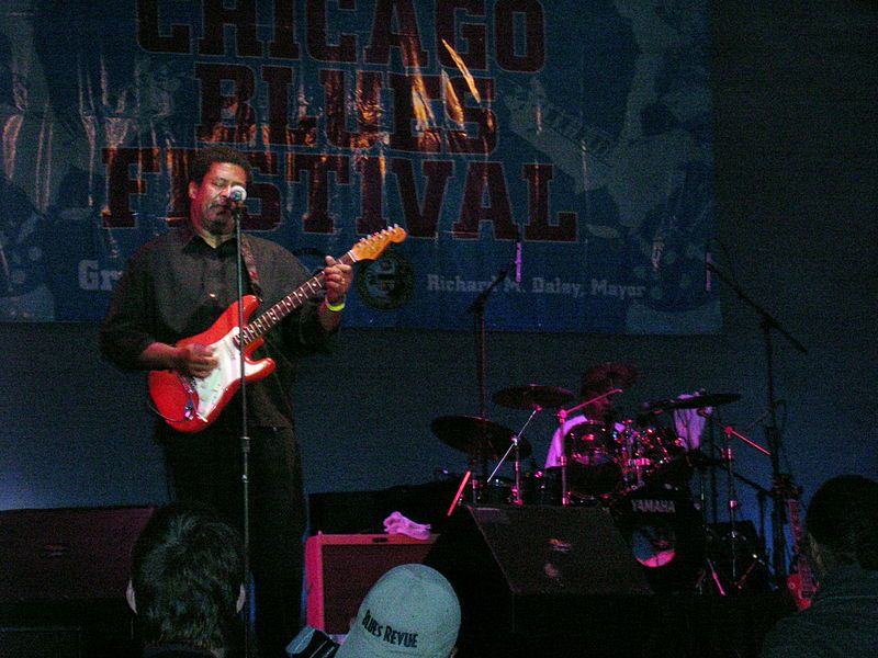 File:Chicagobluesfstival2.jpg