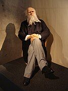 Charles Darwin in the exhibit Darwin observador, Darwin naturalista