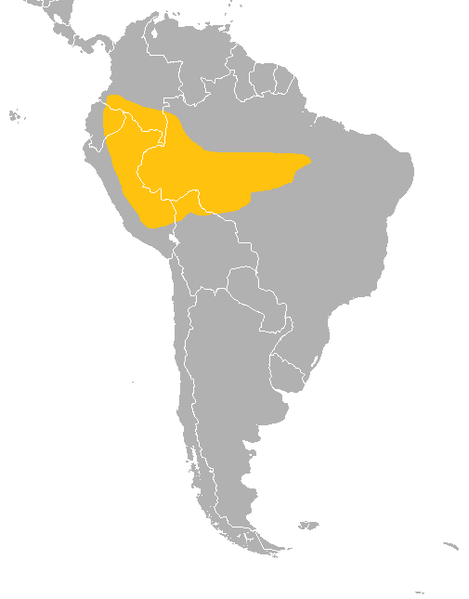 File:Distribución Atelocynus microtis.png