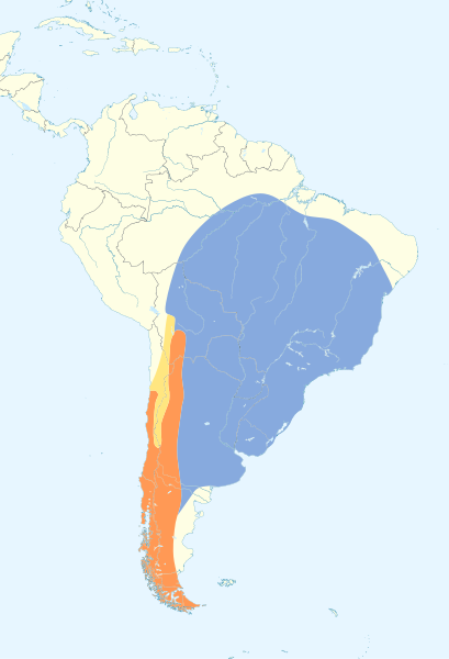 File:Elaenia chilensis map.svg