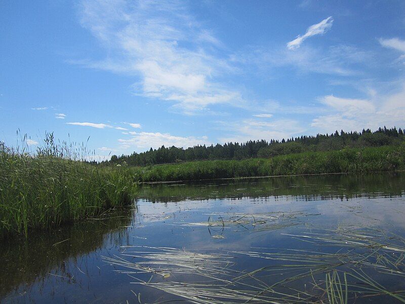 File:Marshes near Seba.jpg