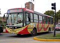 Buenos Aires Colectivo