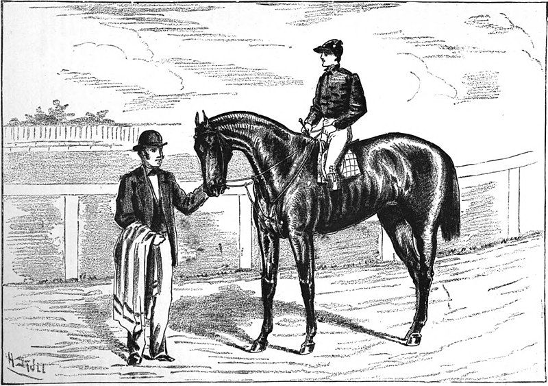 File:Parole (horse).jpg