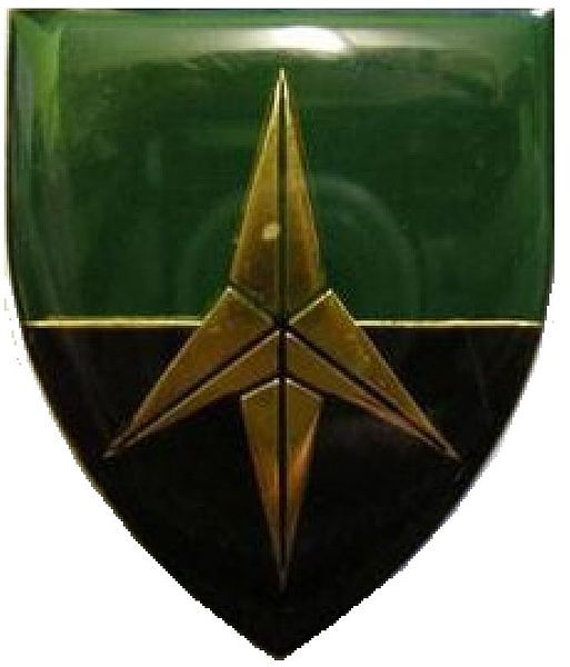 File:SWATF 55 Battalion.jpg