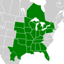 Symphyotrichum oolentangiense native distribution map: Canada — Ontario, Mexico — Coahuila, US — Alabama, Arkansas, Florida, Georgia, Illinois, Indiana, Iowa, Kansas, Kentucky, Louisiana, Michigan, Minnesota, Mississippi, Missouri, Nebraska, New York, Ohio, Oklahoma, Pennsylvania, South Dakota, Tennessee, Texas, and Wisconsin.