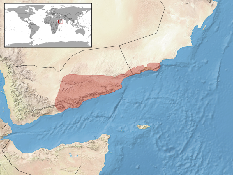 File:Uromastyx benti distribution.png