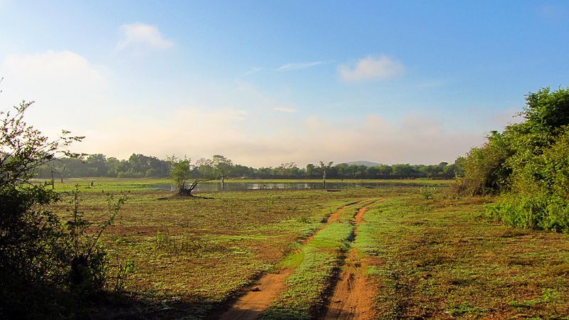 File:WasgamuwaNationalPark-September2014 (1).JPG