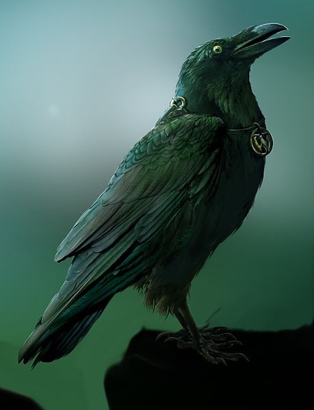 File:Wisdom raven.jpg