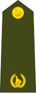 File:Zimbabwe-Army-OF-3.svg