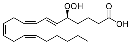 File:5-Hydroperoxyeicosatetraenoic acid.svg