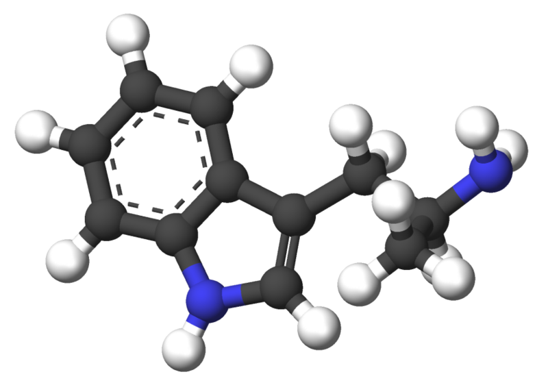 File:Alpha-Methyltryptamine-3d-sticks.png