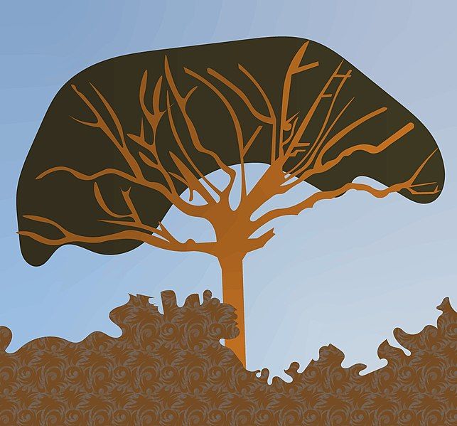 File:Baobab Tree Graphic.jpg