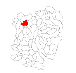 Location in Caraș-Severin County