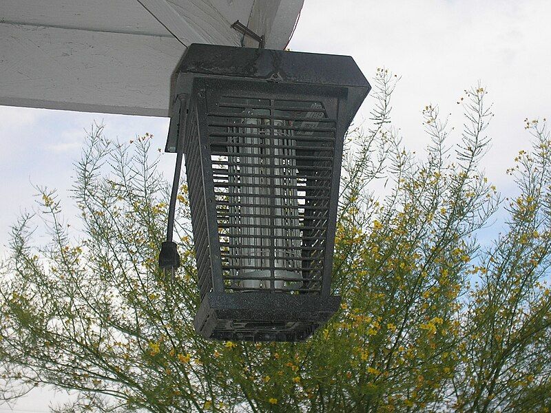 File:Bug zapper.JPG