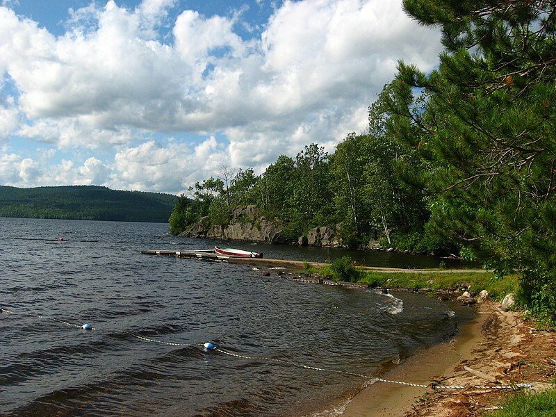 File:Driftwood PP beach.JPG