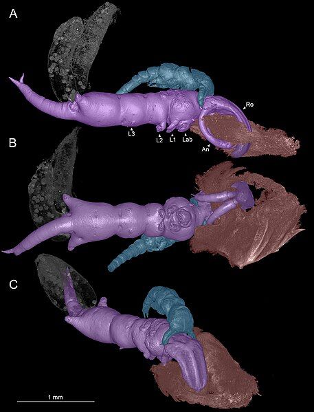 File:Fig1 lowres.jpg