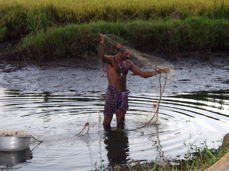 File:Fischer backwaters.JPG