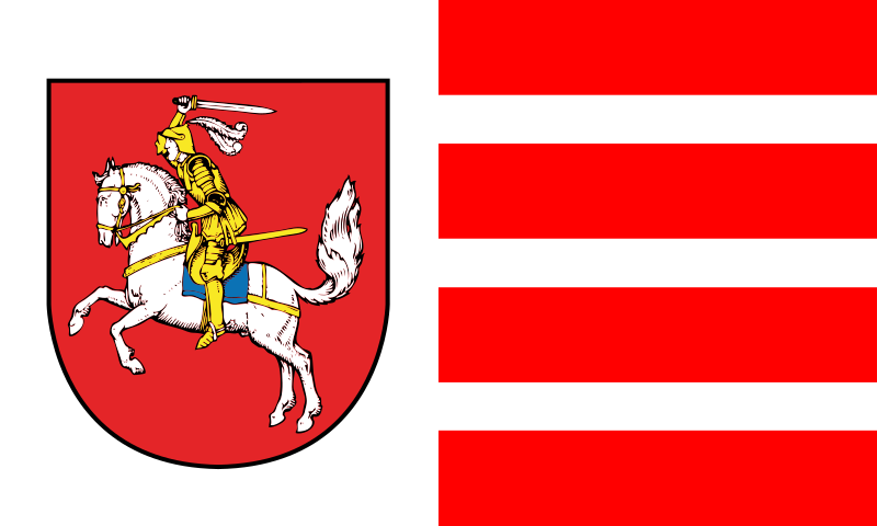 File:Flagge Kreis Dithmarschen.svg