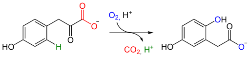 File:HPPD reaction.svg