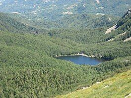 A lake nestled among lush green hills.