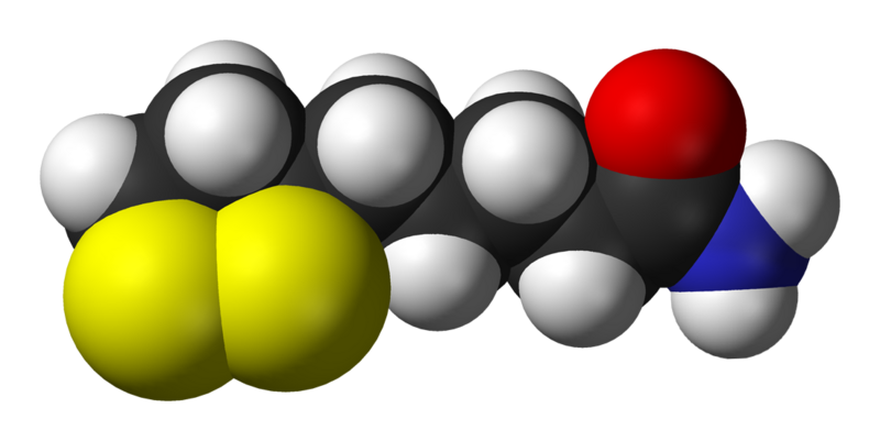 File:Lipoamide-3D-vdW.png