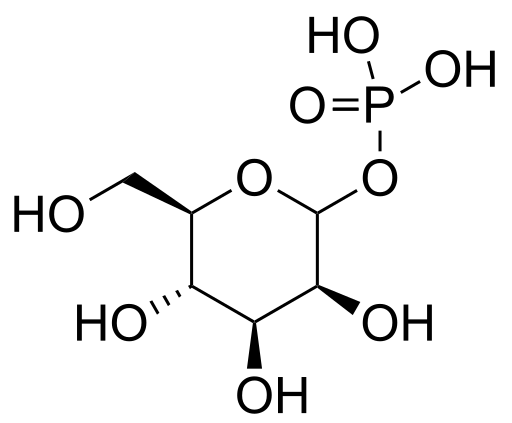 File:Mannose-1-phosphate.svg