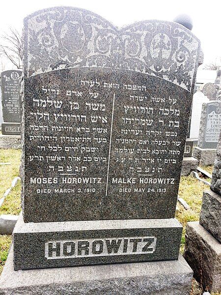 File:Moses Horowitz.jpg