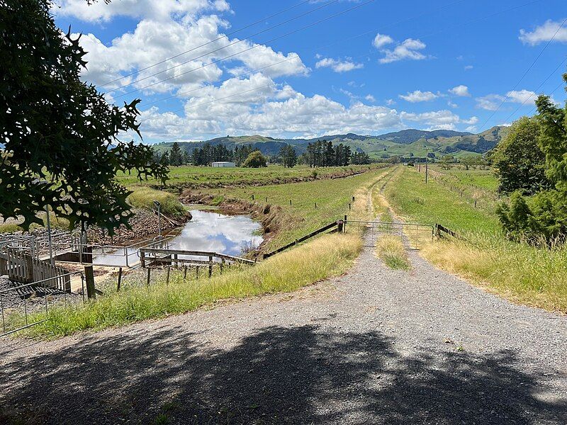 File:Pokeno-Paeroa railway bank.jpg