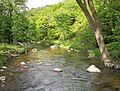 Redwood River in Camden State Park