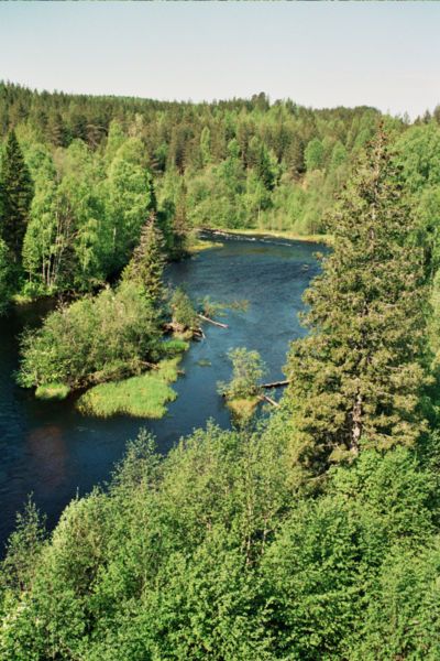 File:River Kumsa.jpg