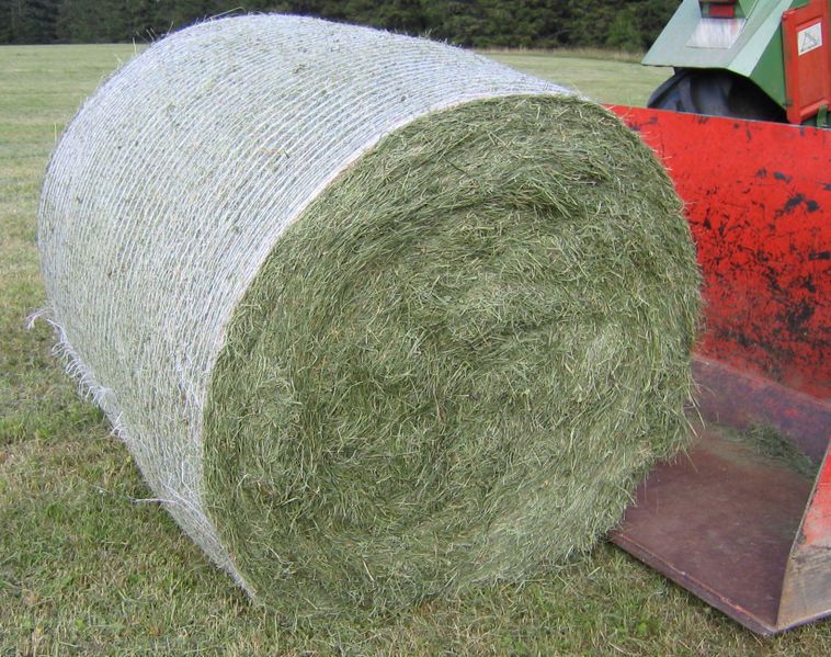 File:Round bale 3066.jpg