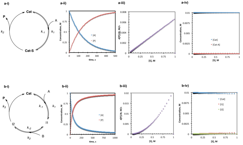 File:Steady State 2.png