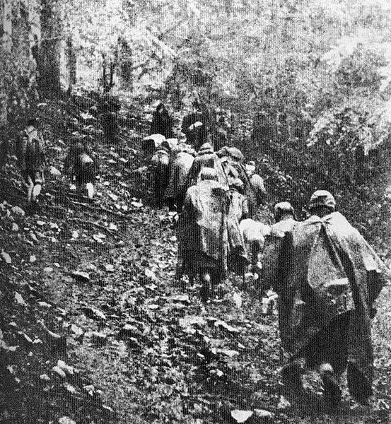 File:Sutjeska povlačenje 1943.jpg