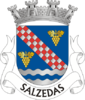 Coat of arms of Salzedas