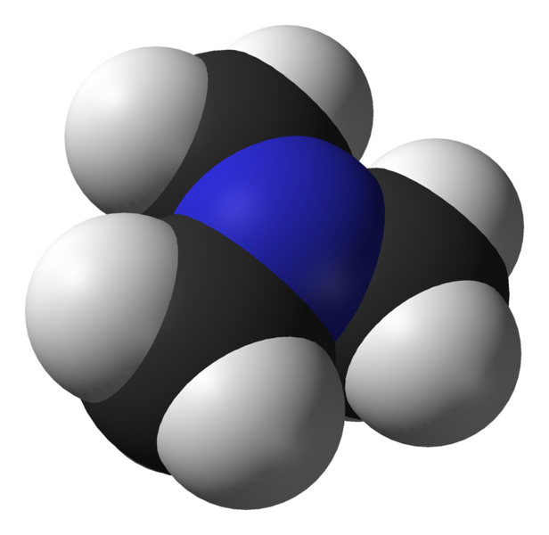 File:Trimethylamine-3D-vdW.png