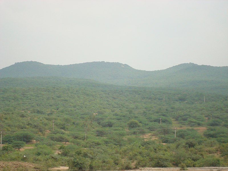 File:Vedadri5.jpg