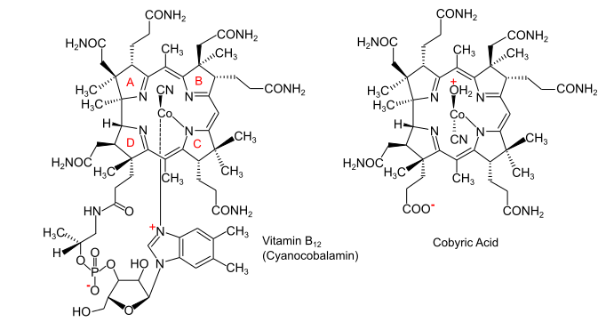 File:Vitamin B12.svg