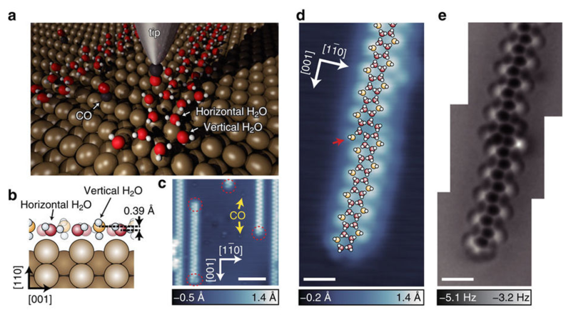 File:Water Single Atom.png