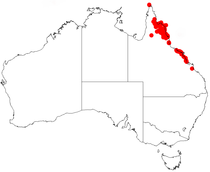 File:Acacia orariaDistMap657.png