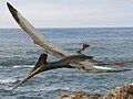 Pterodactylus, Germany