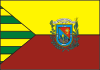 Flag of São Raimundo Nonato