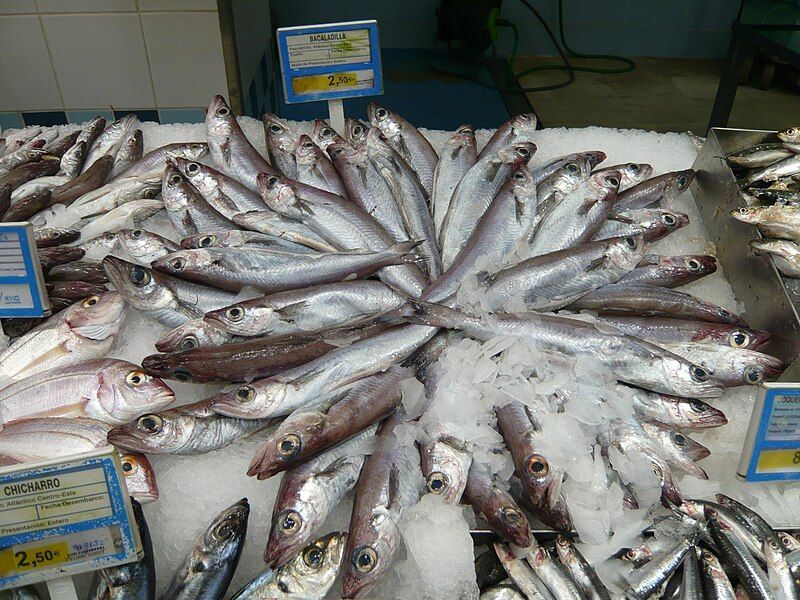 File:Blue whiting (bacaladilla).jpg