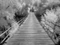 Bridge Infrared